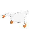 goose