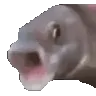 poggersfish