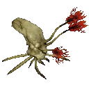 Flood_infection_form