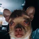 sadhigh Discord Emoji