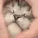 hand