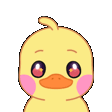 TCDuckWave