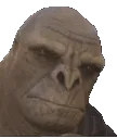Craig_pog