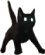 z10_ScaredyCat Discord Emoji