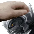 Pet_Arbiter