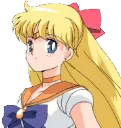 SailorVenus_wink