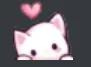 kitty
