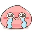 cry