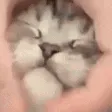 pwgoodFloof