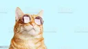 cattttt Discord Emoji