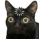 CIjinxhuh CIjinxhuh