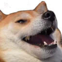 hah
