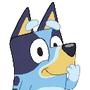 BlueyOops