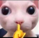 shh
