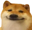 SmileDoge