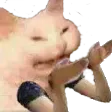 whykitty