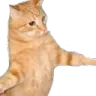 ojalaviolarseuncaballo