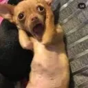 Rah