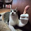 Thumbs_Up_Gatto Thumbs_Up_Gatto