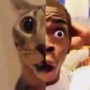 Thatsbizarre Thatsbizarre