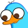 rPerryoop