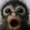 0_