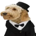 gentledog