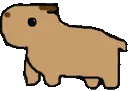 capybara2