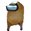 capyamogus