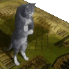 8120halalcat