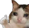 cryy cryy