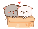 Kittybox Discord Emoji