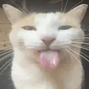 bleeeeeehhh bleeeeeehhh
