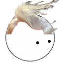 HistoryTrump Discord emoji