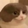 ningguanghigherquality