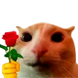 catRose