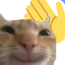 catWave