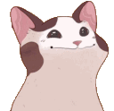 Pog Cat pogcat Discord Emoji