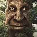 wisemysterioustree wisemysterioustree