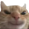 evilcat