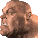 nogryn