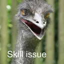 skill_issue