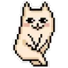 CatShy