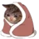 NHM_35 Discord emoji