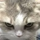 anger