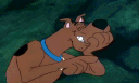 zscoobylol