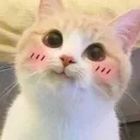 emoji_42