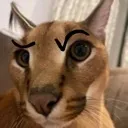 Floppa_sus Discord Emoji