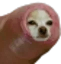 foredoge Discord Emoji