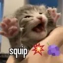 squip